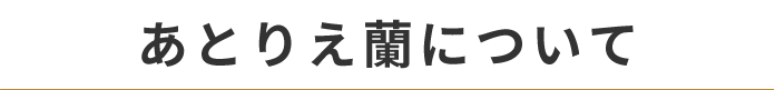 あとりえ蘭について